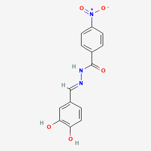 N'-[(E)-(3,4-dihydroxyphenyl)methylidene]-4-nitrobenzohydrazide