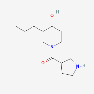 molecular formula C13H24N2O2 B1481146 (4-Hydroxy-3-propylpiperidin-1-yl)(pyrrolidin-3-yl)methanone CAS No. 2098086-56-5