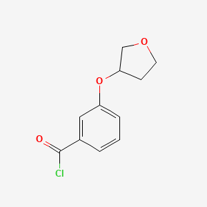 molecular formula C11H11ClO3 B14811480 3-(Tetrahydrofuran-3-yloxy)benzoyl chloride 