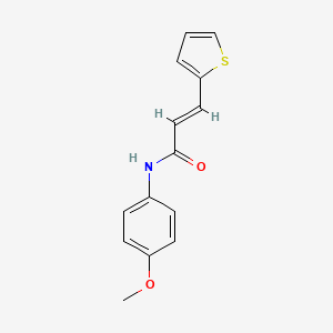 molecular formula C14H13NO2S B14812172 (2E)-N-(4-methoxyphenyl)-3-(thiophen-2-yl)prop-2-enamide 