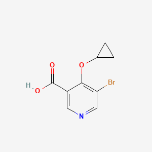 molecular formula C9H8BrNO3 B14812553 5-Bromo-4-cyclopropoxynicotinic acid 