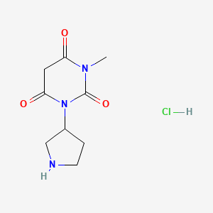 molecular formula C9H14ClN3O3 B1481289 1-methyl-3-(pyrrolidin-3-yl)pyrimidine-2,4,6(1H,3H,5H)-trione hydrochloride CAS No. 2098031-76-4