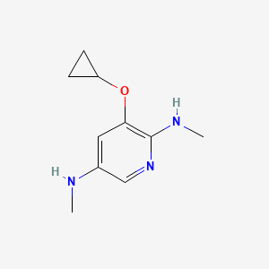 molecular formula C10H15N3O B14813417 3-Cyclopropoxy-N2,N5-dimethylpyridine-2,5-diamine 