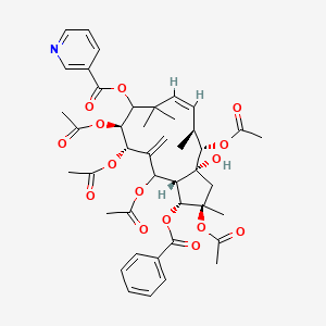 molecular formula C43H51NO15 B14813512 [(1R,2R,3aR,4S,5S,6Z,10S,11S,13aS)-2,4,10,11,13-pentaacetyloxy-1-benzoyloxy-3a-hydroxy-2,5,8,8-tetramethyl-12-methylidene-3,4,5,9,10,11,13,13a-octahydro-1H-cyclopenta[12]annulen-9-yl] pyridine-3-carboxylate 