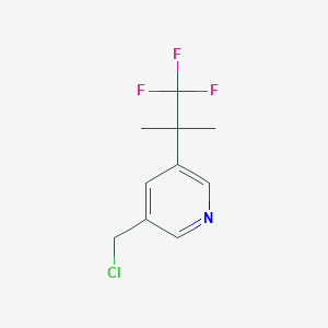 molecular formula C10H11ClF3N B14813607 3-(Chloromethyl)-5-(1,1,1-trifluoro-2-methylpropan-2-yl)pyridine 