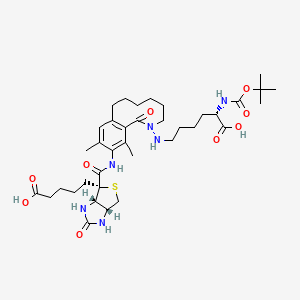 (2S)-6-({11-[(3aS,4S,6aR)-4-(4-carboxybutyl)-2-oxo-hexahydro-1H-thieno[3,4-d]imidazole-4-amido]-10,12-dimethyl-1-oxo-1,2,3,4,5,6,7,8-octahydro-2-benzazecin-2-yl}amino)-2-{[(tert-butoxy)carbonyl]amino}hexanoic acid