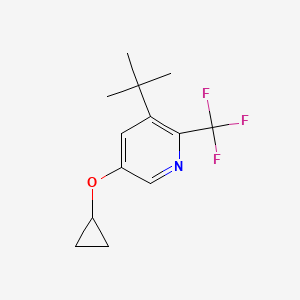 3-Tert-butyl-5-cyclopropoxy-2-(trifluoromethyl)pyridine