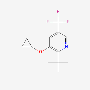 2-Tert-butyl-3-cyclopropoxy-5-(trifluoromethyl)pyridine