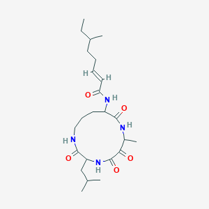 molecular formula C24H40N4O5 B148205 尤里霉素 B CAS No. 137563-64-5