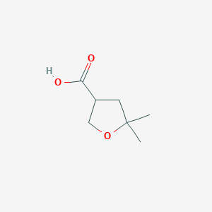 molecular formula C7H12O3 B1482142 5,5-二甲基四氢呋喃-3-羧酸 CAS No. 2513-02-2