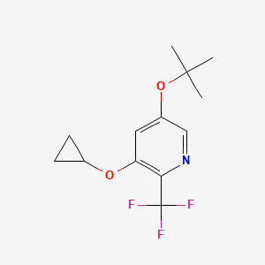 5-Tert-butoxy-3-cyclopropoxy-2-(trifluoromethyl)pyridine