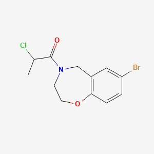 molecular formula C12H13BrClNO2 B1482581 1-(7-Bromo-2,3,4,5-tetrahydro-1,4-benzoxazepin-4-yl)-2-chloropropan-1-one CAS No. 2097954-51-1