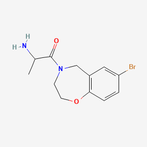 molecular formula C12H15BrN2O2 B1482594 2-氨基-1-(7-溴-2,3,4,5-四氢-1,4-苯并噁唑啉-4-基)丙酮 CAS No. 2097948-26-8