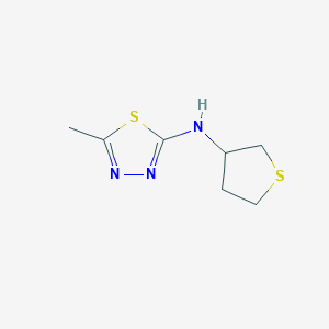 molecular formula C7H11N3S2 B1482809 5-methyl-N-(thiolan-3-yl)-1,3,4-thiadiazol-2-amine CAS No. 1701874-34-1