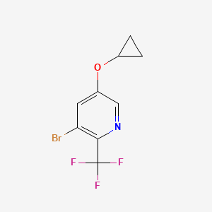 3-Bromo-5-cyclopropoxy-2-(trifluoromethyl)pyridine