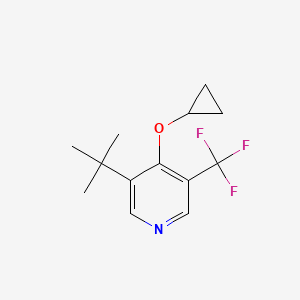 3-Tert-butyl-4-cyclopropoxy-5-(trifluoromethyl)pyridine