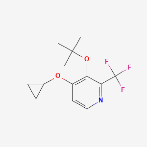 3-Tert-butoxy-4-cyclopropoxy-2-(trifluoromethyl)pyridine