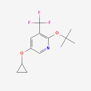 2-Tert-butoxy-5-cyclopropoxy-3-(trifluoromethyl)pyridine