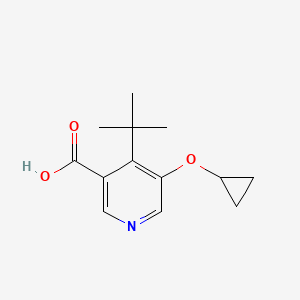 4-Tert-butyl-5-cyclopropoxynicotinic acid