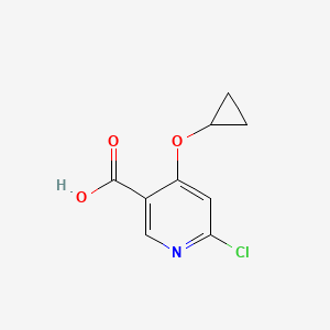 molecular formula C9H8ClNO3 B14831066 6-Chloro-4-cyclopropoxynicotinic acid 