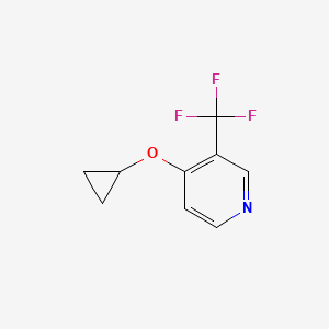 molecular formula C9H8F3NO B14832163 4-Cyclopropoxy-3-(trifluoromethyl)pyridine 