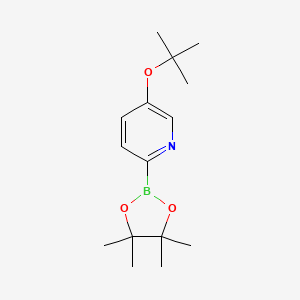 molecular formula C15H24BNO3 B14832879 5-(Tert-butoxy)pyridine-2-boronic acid pinacol ester 