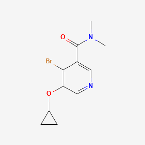 molecular formula C11H13BrN2O2 B14833175 4-Bromo-5-cyclopropoxy-N,N-dimethylnicotinamide 