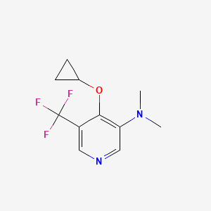 4-Cyclopropoxy-N,N-dimethyl-5-(trifluoromethyl)pyridin-3-amine