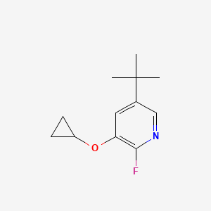 molecular formula C12H16FNO B14833493 5-Tert-butyl-3-cyclopropoxy-2-fluoropyridine 