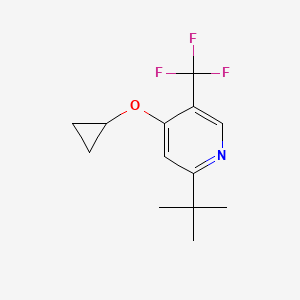 molecular formula C13H16F3NO B14833659 2-Tert-butyl-4-cyclopropoxy-5-(trifluoromethyl)pyridine 