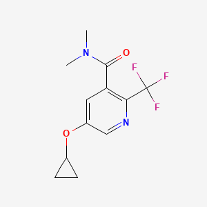 5-Cyclopropoxy-N,N-dimethyl-2-(trifluoromethyl)nicotinamide