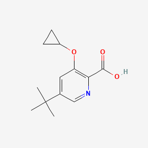 5-Tert-butyl-3-cyclopropoxypicolinic acid