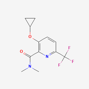 molecular formula C12H13F3N2O2 B14835274 3-Cyclopropoxy-N,N-dimethyl-6-(trifluoromethyl)picolinamide 