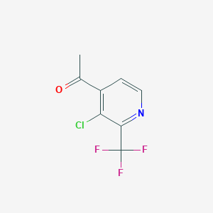 molecular formula C8H5ClF3NO B14836009 1-[3-Chloro-2-(trifluoromethyl)pyridin-4-YL]ethanone 