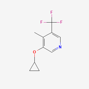 molecular formula C10H10F3NO B14836060 3-Cyclopropoxy-4-methyl-5-(trifluoromethyl)pyridine 