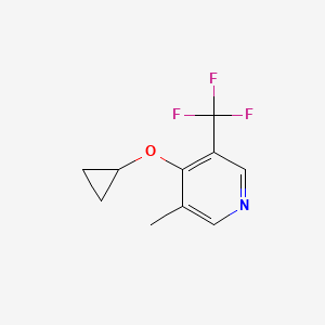 molecular formula C10H10F3NO B14836346 4-Cyclopropoxy-3-methyl-5-(trifluoromethyl)pyridine 