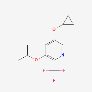 molecular formula C12H14F3NO2 B14836520 5-Cyclopropoxy-3-isopropoxy-2-(trifluoromethyl)pyridine 