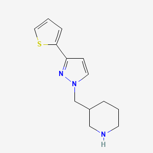 molecular formula C13H17N3S B1483693 3-((3-(チオフェン-2-イル)-1H-ピラゾール-1-イル)メチル)ピペリジン CAS No. 2098131-35-0