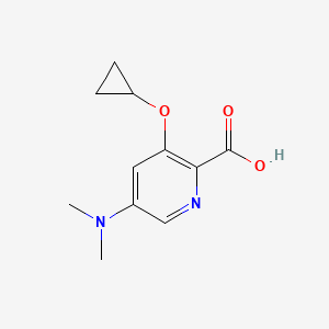 molecular formula C11H14N2O3 B14837529 3-Cyclopropoxy-5-(dimethylamino)picolinic acid 