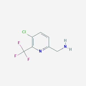 molecular formula C7H6ClF3N2 B14837568 [5-Chloro-6-(trifluoromethyl)pyridin-2-YL]methylamine 