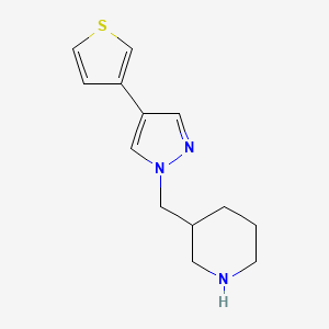 molecular formula C13H17N3S B1483777 3-((4-(thiophen-3-yl)-1H-pyrazol-1-yl)methyl)piperidine CAS No. 2098046-68-3