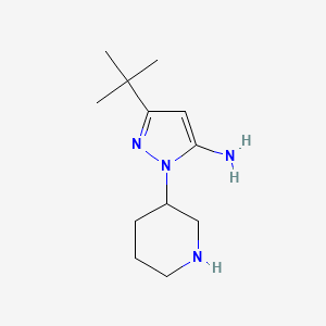 molecular formula C12H22N4 B1483802 3-(叔丁基)-1-(哌啶-3-基)-1H-吡唑-5-胺 CAS No. 2098139-19-4
