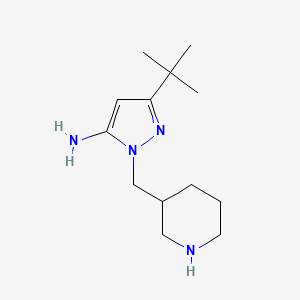 molecular formula C13H24N4 B1483825 3-(tert-butyl)-1-(piperidin-3-ylmethyl)-1H-pyrazol-5-amine CAS No. 2098088-04-9