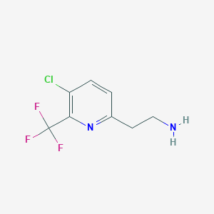 molecular formula C8H8ClF3N2 B14838688 2-[5-Chloro-6-(trifluoromethyl)pyridin-2-YL]ethanamine 