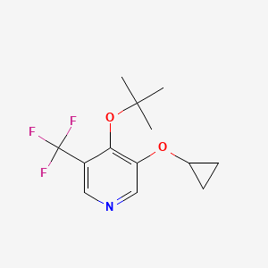 4-Tert-butoxy-3-cyclopropoxy-5-(trifluoromethyl)pyridine