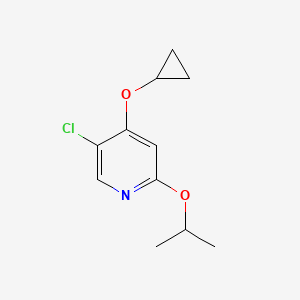 molecular formula C11H14ClNO2 B14841251 5-Chloro-4-cyclopropoxy-2-isopropoxypyridine 