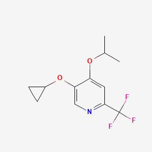 molecular formula C12H14F3NO2 B14841498 5-Cyclopropoxy-4-isopropoxy-2-(trifluoromethyl)pyridine 