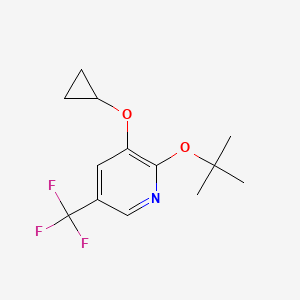 molecular formula C13H16F3NO2 B14841899 2-Tert-butoxy-3-cyclopropoxy-5-(trifluoromethyl)pyridine 