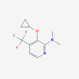 molecular formula C11H13F3N2O B14841960 3-Cyclopropoxy-N,N-dimethyl-4-(trifluoromethyl)pyridin-2-amine 