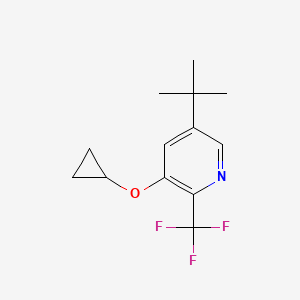 molecular formula C13H16F3NO B14842065 5-Tert-butyl-3-cyclopropoxy-2-(trifluoromethyl)pyridine 